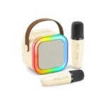 Generic Portable Wireless Karaoke Bluetooth Speaker With 2 Wireless Mics